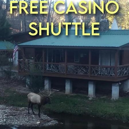 Qualla Cabins And Motel Cherokee Near Casino Whittier Luaran gambar