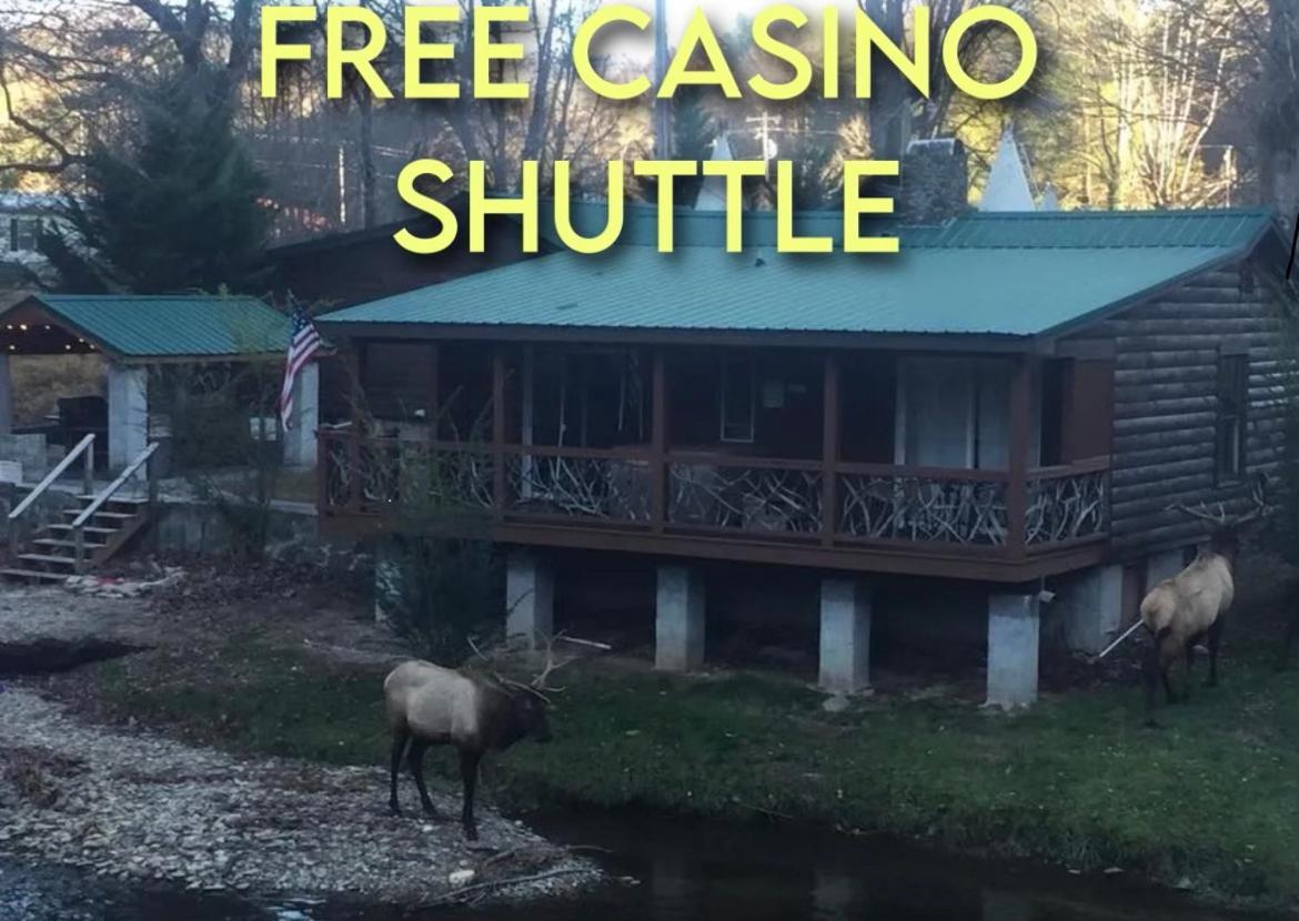 Qualla Cabins And Motel Cherokee Near Casino Whittier Luaran gambar