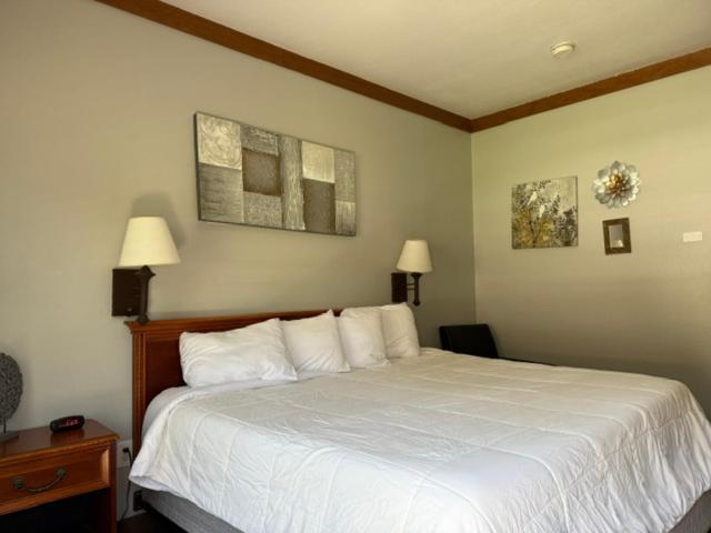 Qualla Cabins And Motel Cherokee Near Casino Whittier Luaran gambar