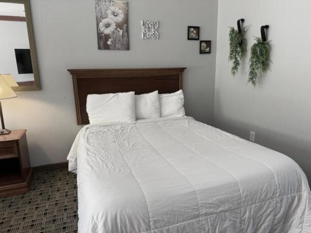 Qualla Cabins And Motel Cherokee Near Casino Whittier Luaran gambar