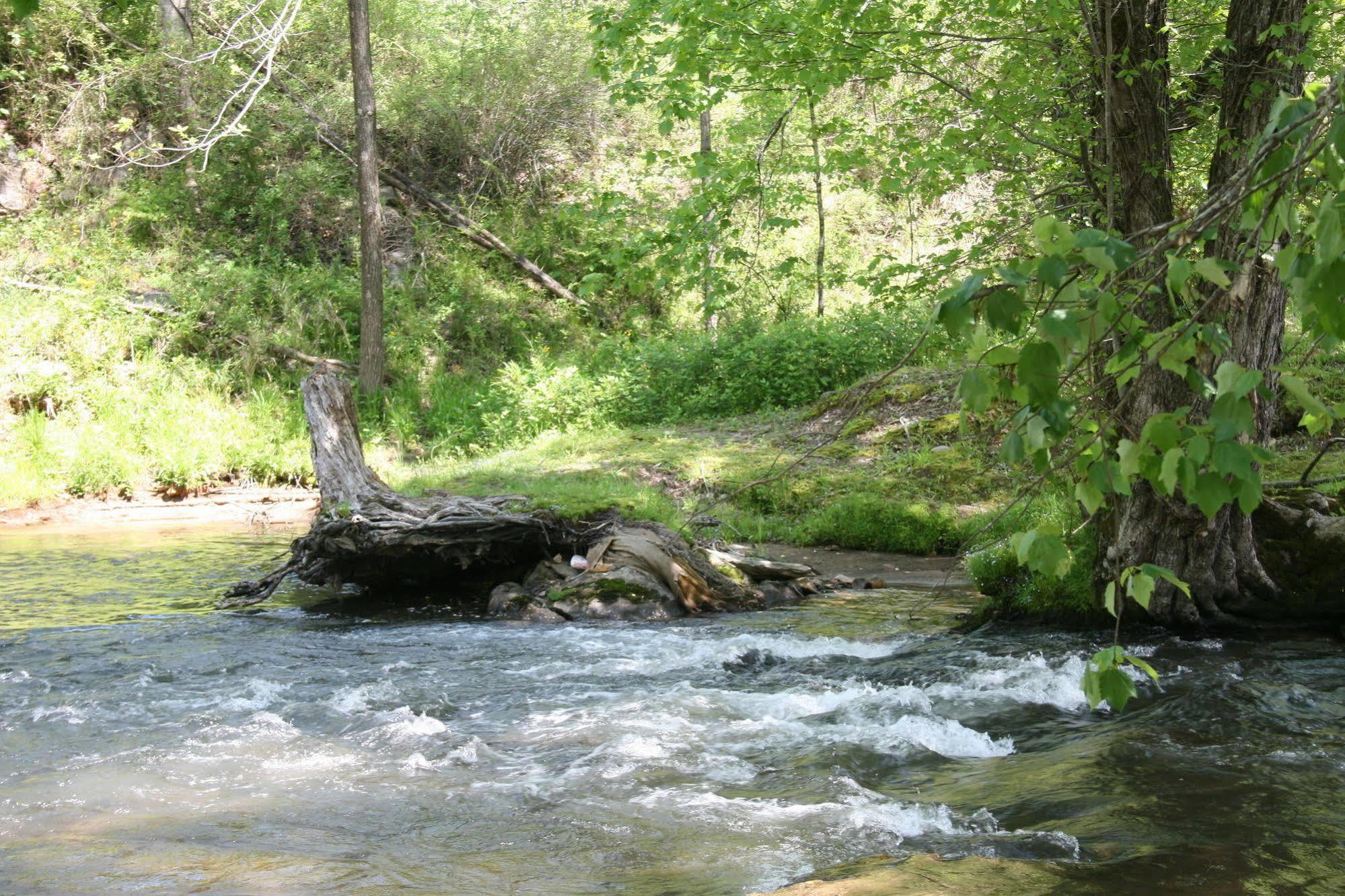 Qualla Cabins And Motel Cherokee Near Casino Whittier Luaran gambar